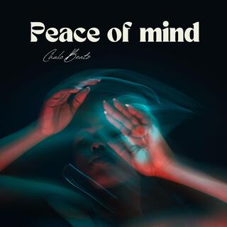Peace Of Mind cover art