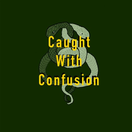 Caught with confusion cover art