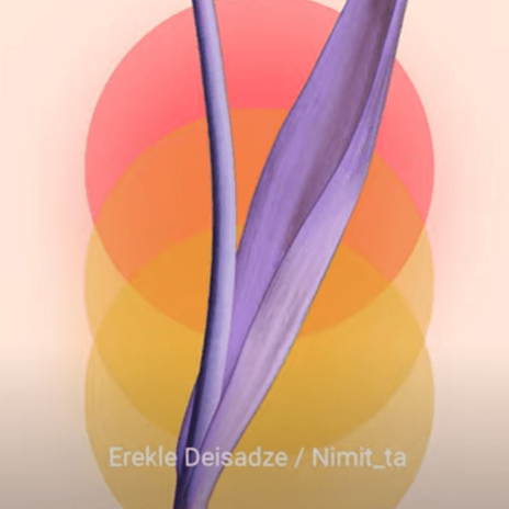 Namasa ft. Nimitta cover art