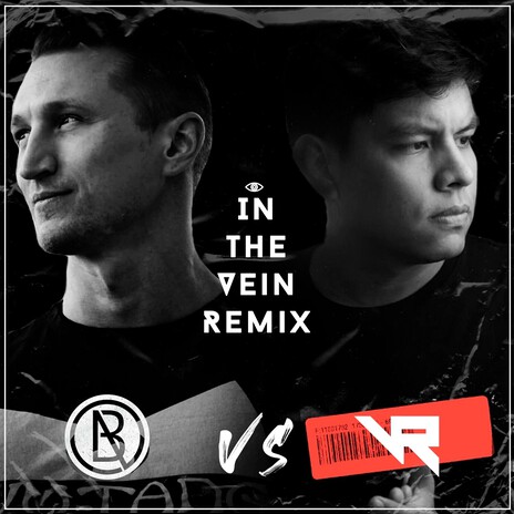 In the Vein (Remix) ft. Victor Roqueme cover art
