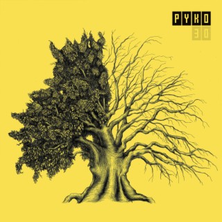 Pyko Fatal