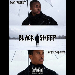 Black Sheep