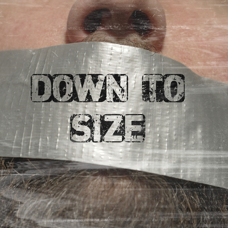 Down To Size cover art