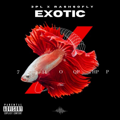 Exotic ft. Rashsofly cover art