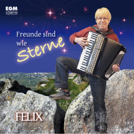 Freunde sind wie Sterne cover art