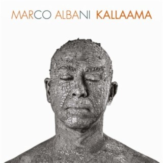 Marco Albani