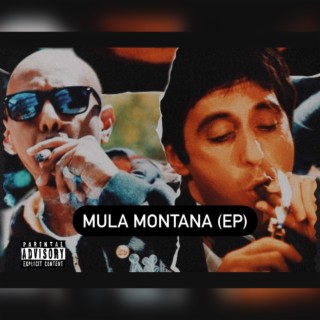 Mula Montana
