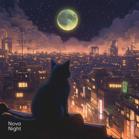 Long Days Lonely Nights cover art