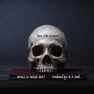 Will U Miss Me cover art