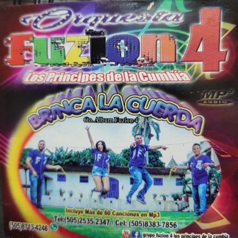 Mi acordeon esta sonando