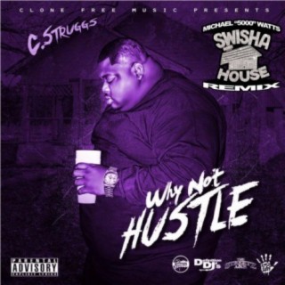 Why Not Hustle (Swishahouse Remixes)