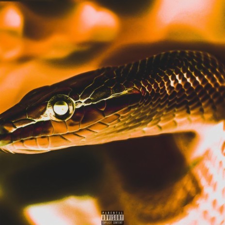 Karakter Yoksunu ft. Ome Rey cover art