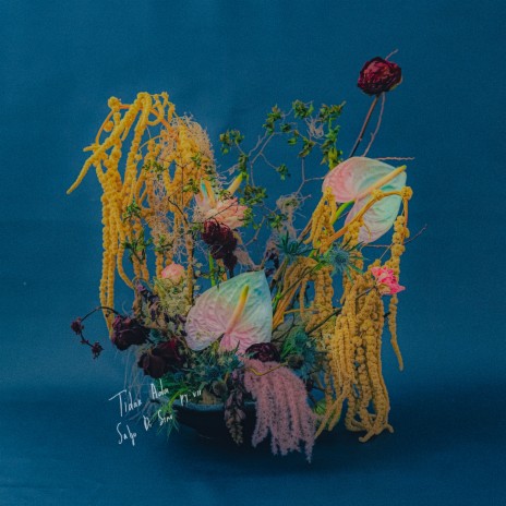 Tidak Ada Salju di Sini, Pt. 7 ft. Dipha Barus cover art
