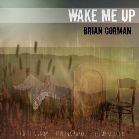 Wake Me Up
