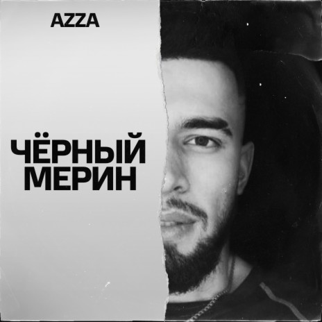 Чёрный мерин cover art