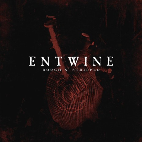 New Dawn cover art