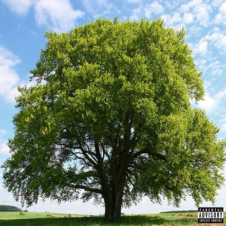 TreeTops ft. Brysen1134 & Angel cover art
