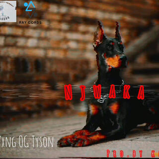 Njwaak ft. Yxng OG Tyson cover art
