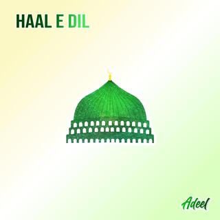 Adeel Hannan