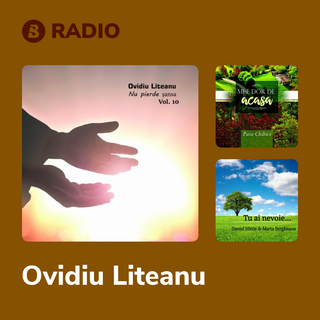 Ovidiu Liteanu Radio