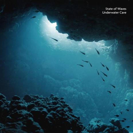 Choral Waterfall cover art