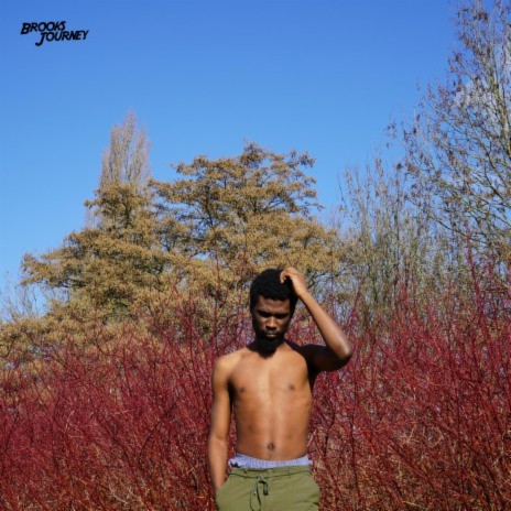 We Will Survive cover art
