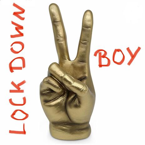 R€€L Lockdown Boy cover art