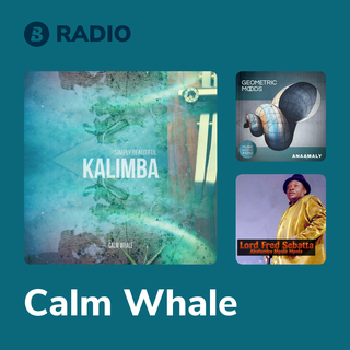 Calm Whale Radio
