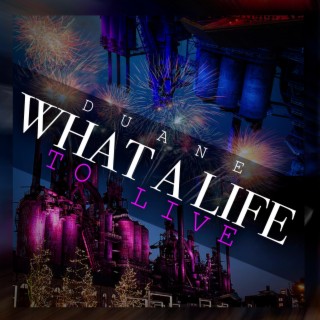 What a Life To Live cover art