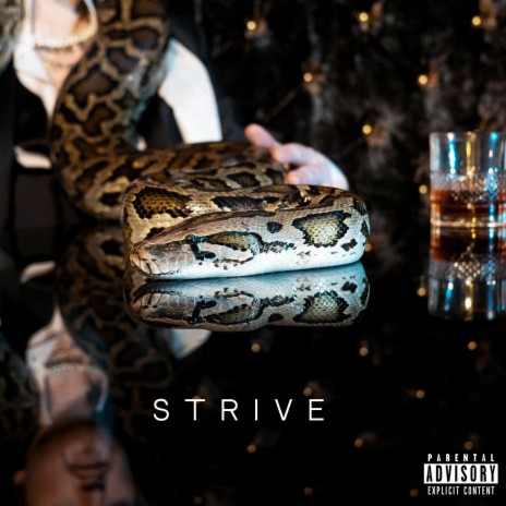 STRIVE cover art