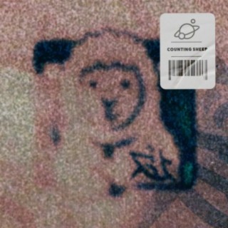 Counting Sheep cover art