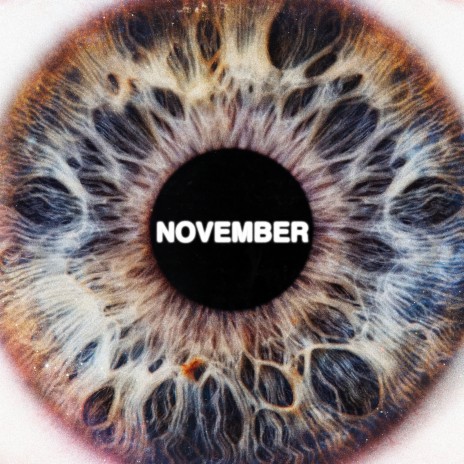 Summer in November cover art