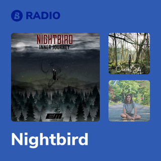 Nightbird Radio