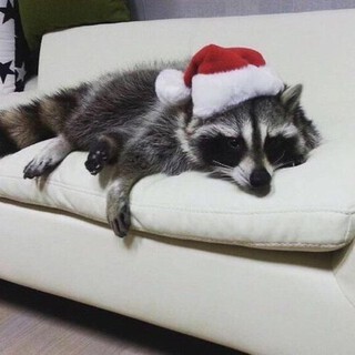 A Knowhere Christmas