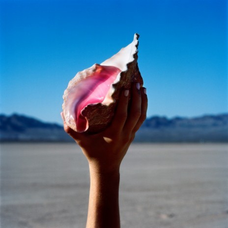 The Calling cover art