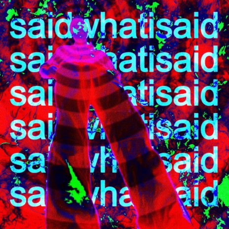 SAIDWHATISAID cover art