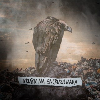 Urubu na Encruzilhada