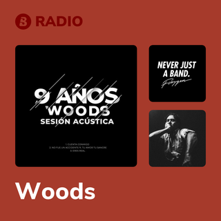 Woods Radio