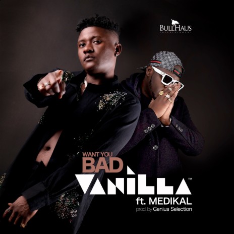 Want You Bad ft. Medikal cover art