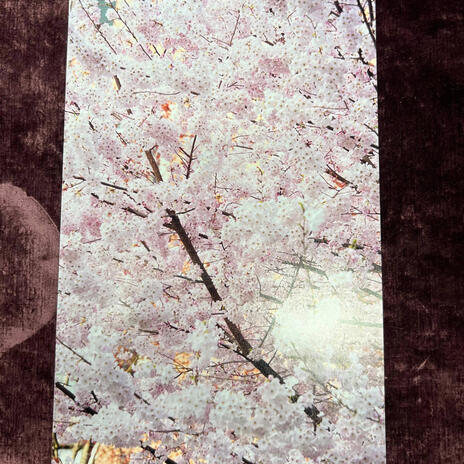 wassup cover art