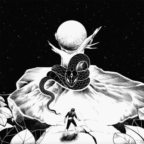 Body cover art