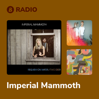 Imperial Mammoth Radio
