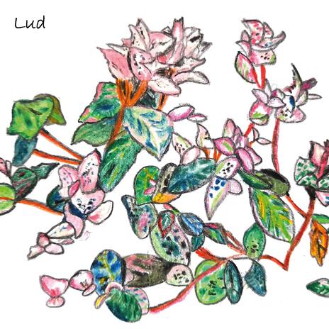 Io Non Morirò cover art
