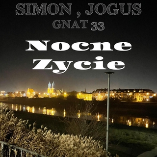 Nocne życie ft. Jogus & Gnat 33 cover art