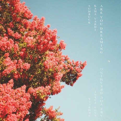 Are You Dreaming ft. Kama Vardi