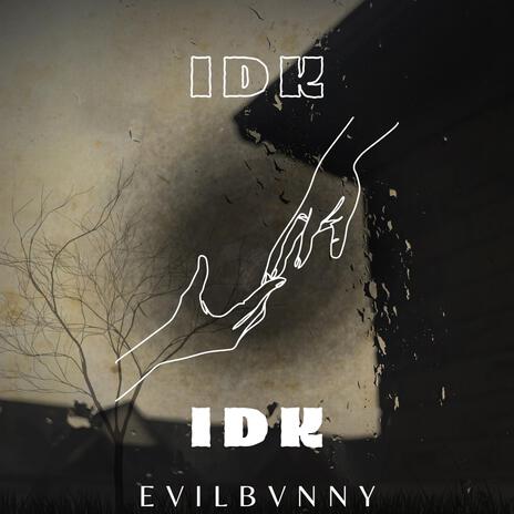 IDK cover art