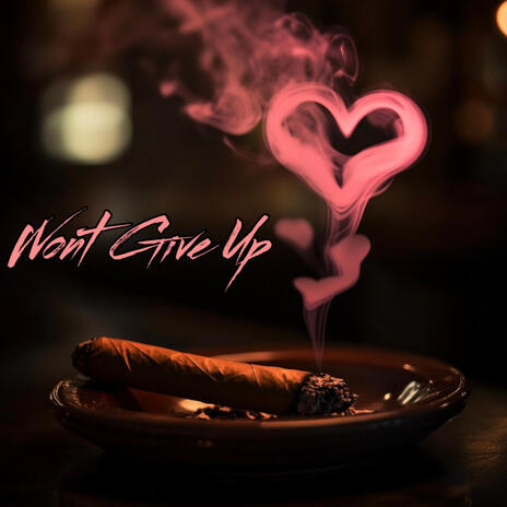 Wont Give Up