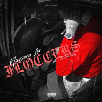 Nursery For Floccers ft. JunkiBoy cover art