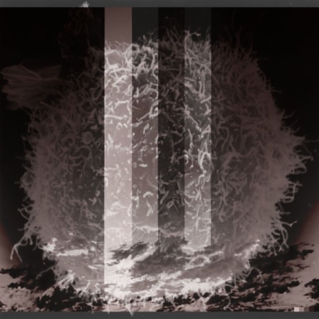 Cardano Rolls Royce cover art