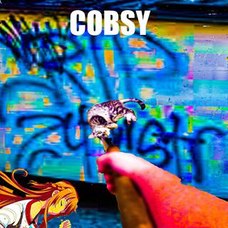COBSY